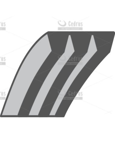 Pasek CEDRUS GL02 napęd noży